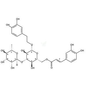 异类叶升麻苷  Isoacteoside  61303-13-7