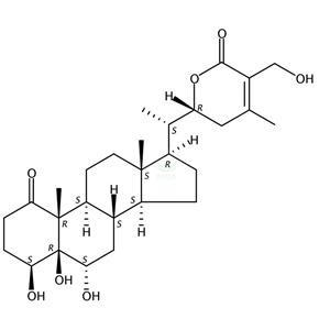 Somnifericin  173693-57-7 