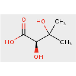R-2,3-二羟基异戊酸 19451-56-0
