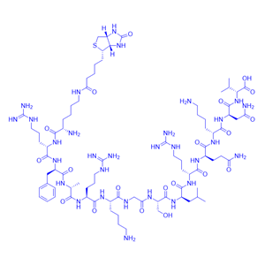 Bio-蛋白激酶C(PKC) 底物多肽/177966-62-0/[Ser25]-PKC (19-31), biotinylated