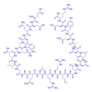 结构域多肽PUMA BH3 (TFA)/PUMA BH3