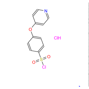 4-(4-吡啶氧基)苯磺酰氯盐酸盐,4-(4-PYRIDYLOXY)BENZENESULFONYL CHLORIDE HYDROCHLORIDE