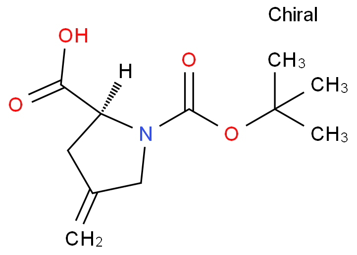 N-Boc-4-亚甲基-L-脯氨酸,N-Boc-4-methylene-L-proline