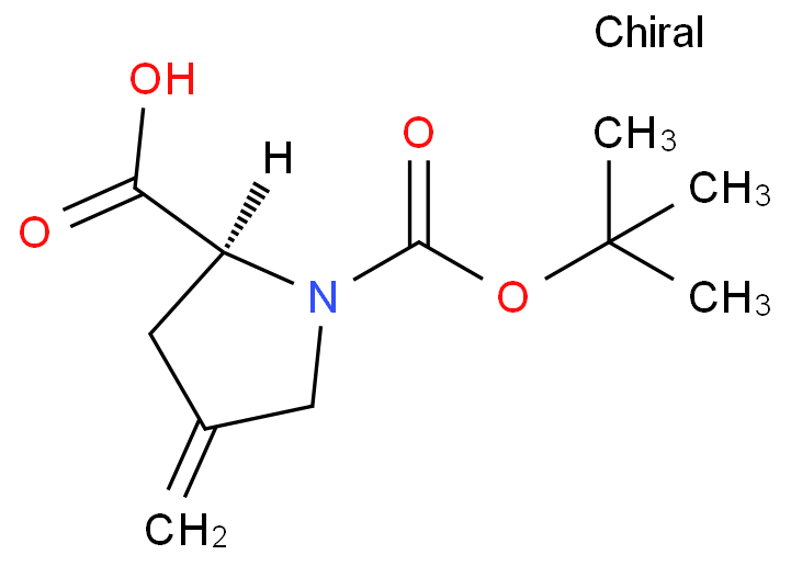 N-Boc-4-亞甲基-L-脯氨酸,N-Boc-4-methylene-L-proline