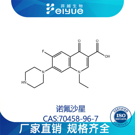 诺氟沙星,Norfloxacin