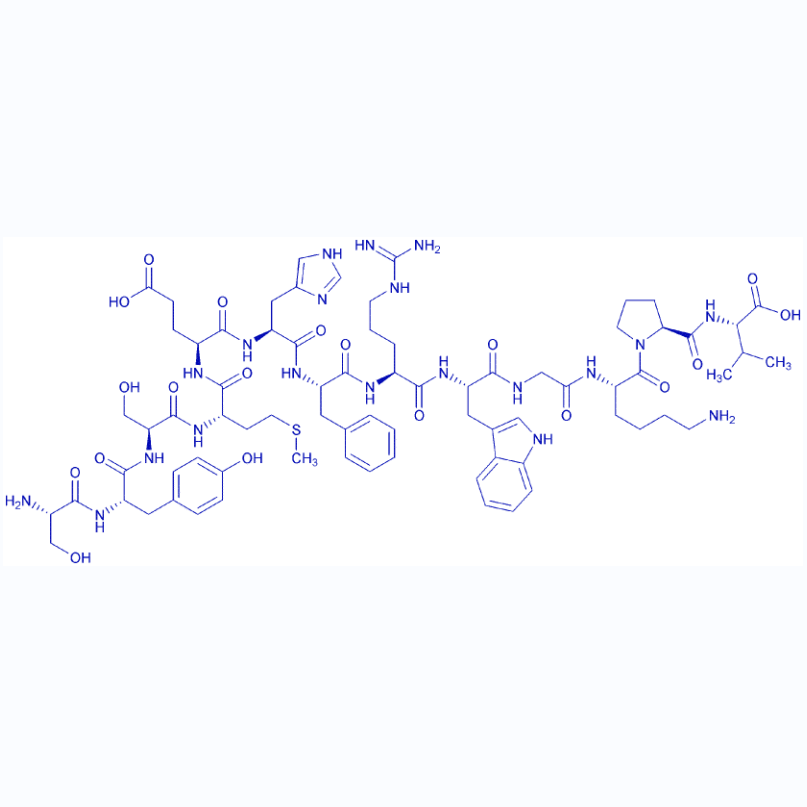 促腎上腺皮質(zhì)激素1-13,ACTH(1-13)/ACTH (1-13), human