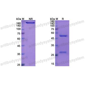 法拉莫單抗,Research Grade Faralimomab