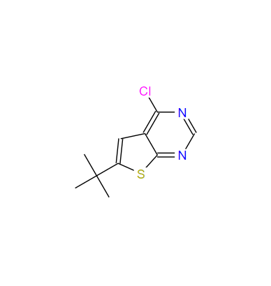 6-叔丁基-4-氯-噻吩[2,3-D]嘧啶,6-Tert-Butyl-4-Chlorothieno[2,3-D]Pyrimidine