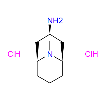 内向-9-甲基-9-氮杂双环[3,3,1]壬烷-3-胺盐酸盐,Endo-9-Methyl-9-azabicyclo[3.3.1]nonan-3-aminedihydrochloride