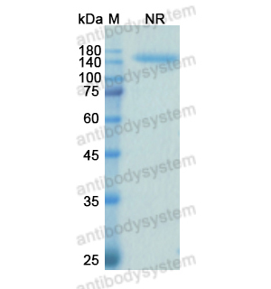 沙馬組單抗,Research Grade Samalizumab  (DHE30301)