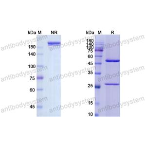 Research Grade Cedelizumab