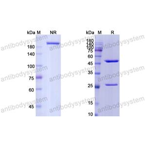 凯利昔单抗,Research Grade Keliximab