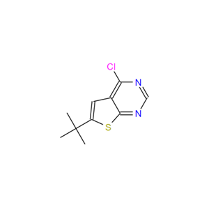 6-叔丁基-4-氯-噻吩[2,3-D]嘧啶