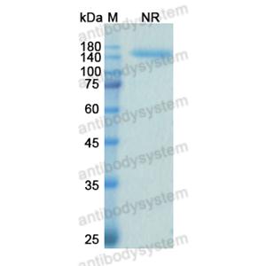 沙馬組單抗,Research Grade Samalizumab  (DHE30301)