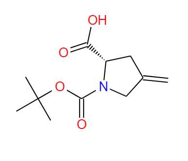 N-叔丁氧羰基-4-亚甲基-L-脯氨酸,1-Boc-(S)-4-Methylenepyrrolidine-2-carboxylic acid