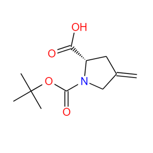 N-叔丁氧羰基-4-亚甲基-L-脯氨酸