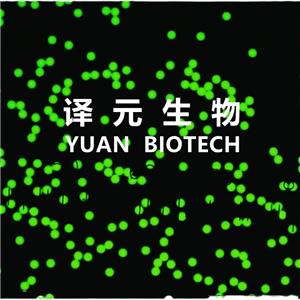 熒光微球 時(shí)間分辨熒光微球,Fluorescent microspheres