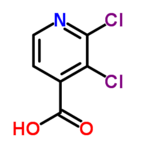 2,3-二氯吡啶-4-羧酸 184416-84-0