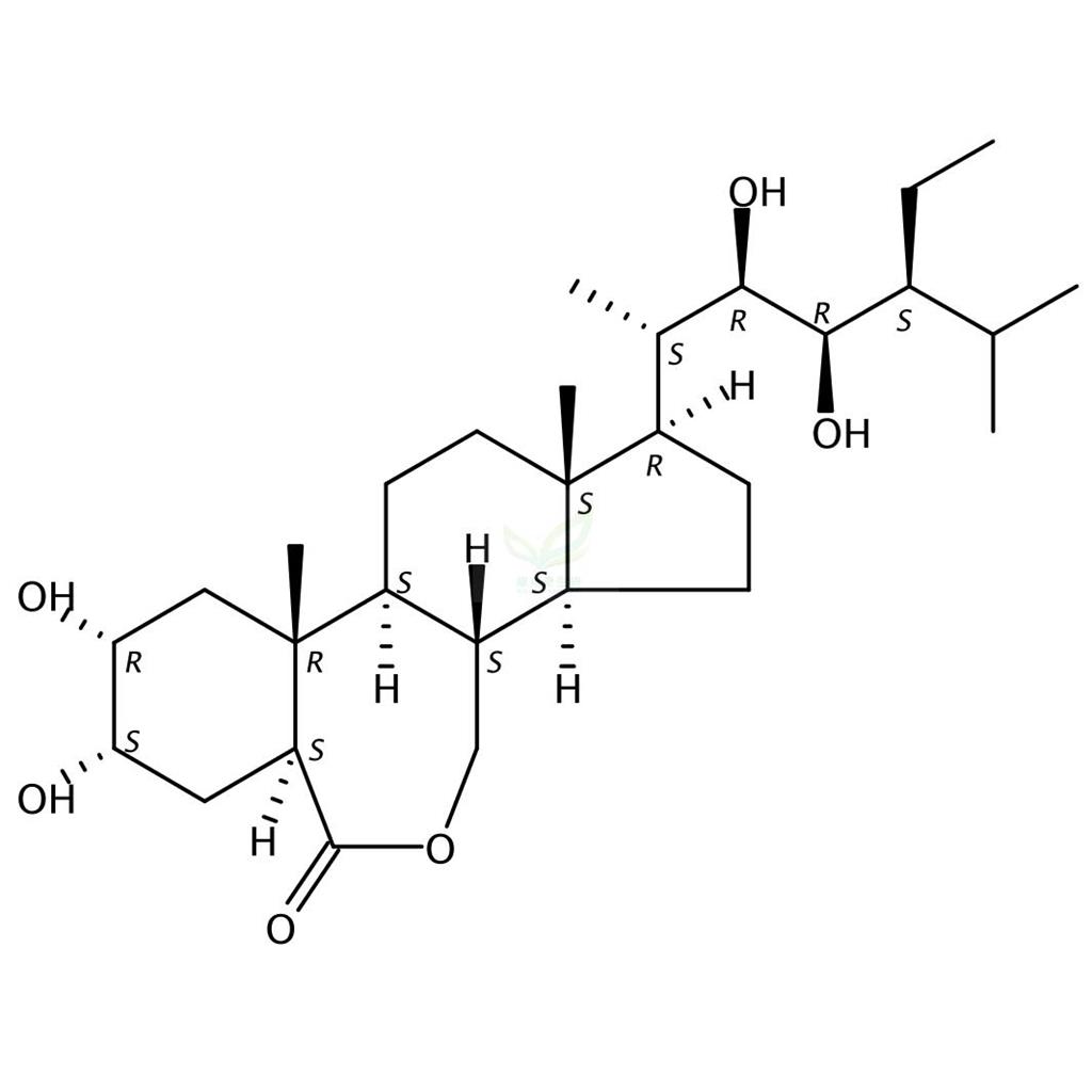 28-高芸苔素內酯,28-Homobrassinolide