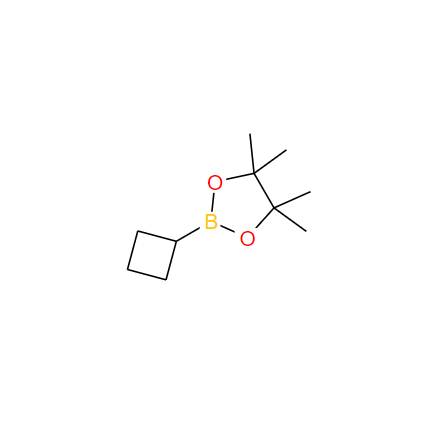 环丁基硼酸频哪醇酯,Cyclobutylboronic acid pinacol ester