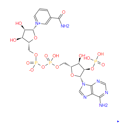 烟酰胺腺嘌呤双核苷酸磷酸盐,Triphosphopyridine nucleotide