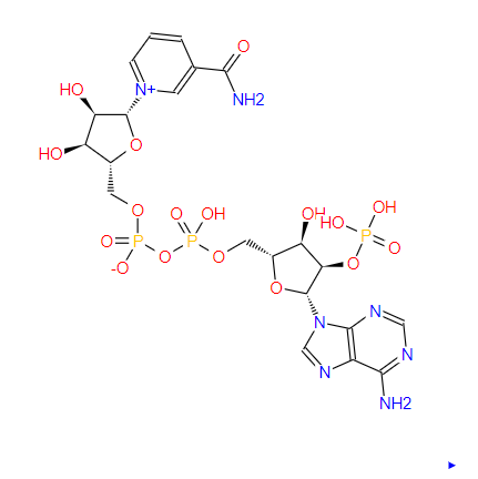 還原型輔酶II,BETA-NADPH TETRASODIUM SALT