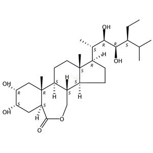 28-高芸苔素內酯,28-Homobrassinolide
