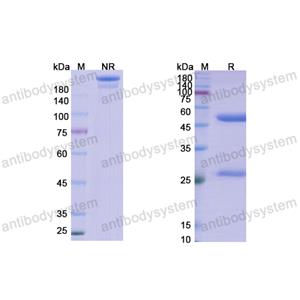 Research Grade Lanadelumab  (DHC04301)