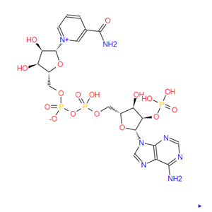 烟酰胺腺嘌呤双核苷酸磷酸盐，Triphosphopyridine n，53-59-8