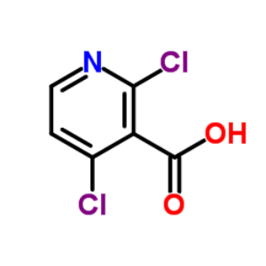 2,4-二氯烟酸  262423-77-8