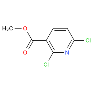 2,6-二氯烟酸甲酯 65515-28-8