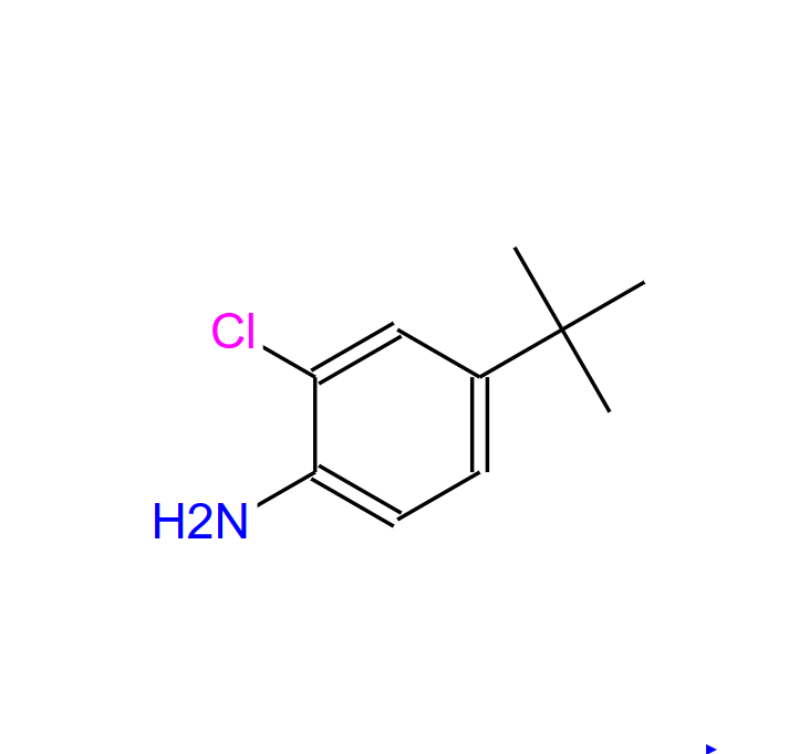 4-叔丁基-2-氯苯胺,4-(TERT-BUTYL)-2-CHLOROANILINE