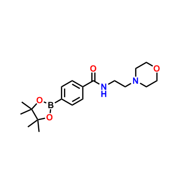 N-(2-吗啉乙基)-4-(4,4,5,5-四甲基-1,3,2-二氧硼杂环戊烷-2-基)苯甲酰胺,N-(2-Morpholinoethyl)-4-(4,4,5,5-tetramethyl-1,3,2-dioxaborolan-2-yl)benzamide