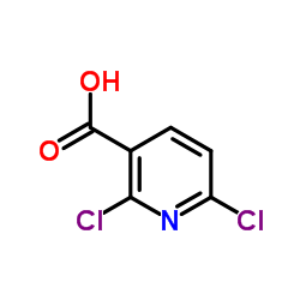 2,6-二氯烟酸,2,6-Dichloronicotinic acid