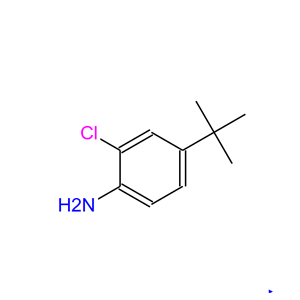 4-叔丁基-2-氯苯胺