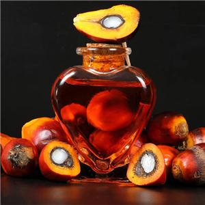 棕榈油,Palm oil