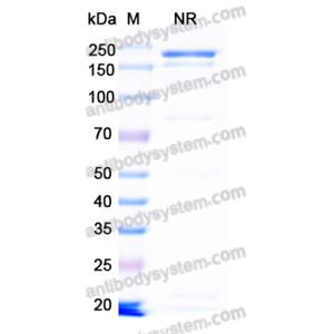 Research Grade Blontuvetmab  (DQC90701)