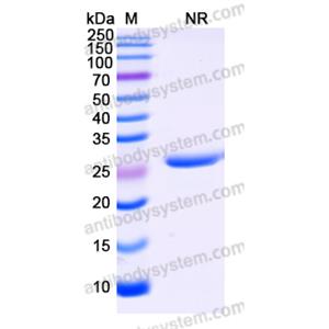 Research Grade Vobarilizumab  (DHC36906)