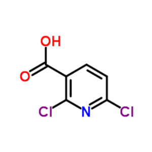 2,6-二氯烟酸  38496-18-3