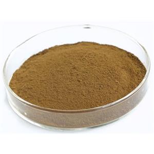 奇亚籽提取物 水溶性 奇亚籽粉,chia seed extract powder, chia seed powder