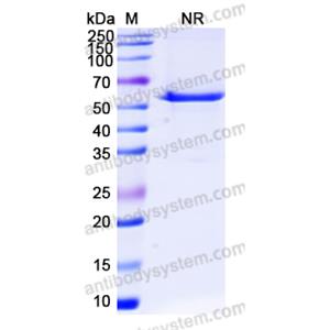 Research Grade Eluvixtamab  (DHD37504)