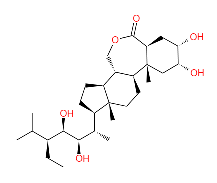 28-高芸苔素內酯,28-homobrassinolide