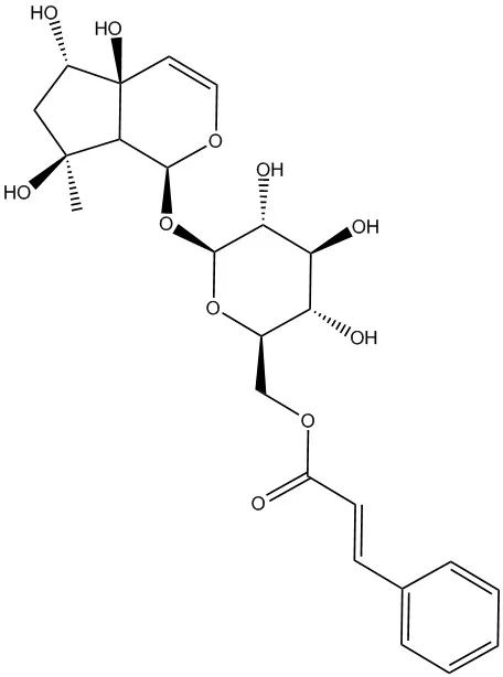 6'-O-肉桂酰基哈巴苷,6'-O-cinnamoyl harpagide