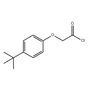 4-叔-丁基苯氧基乙酰基氯