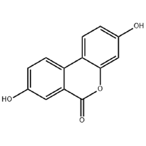 尿石素A