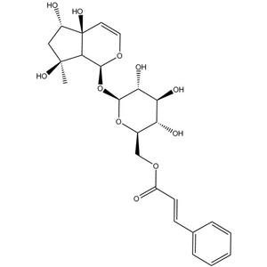 6'-O-肉桂酰基哈巴苷|1245572-24-0