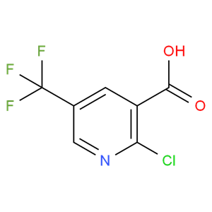 2-氯-5-三氟甲基烟酸 505084-59-3