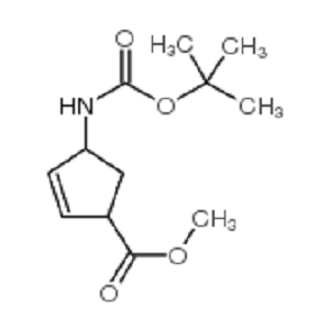 (1S,4R)-4 -(叔丁氧羰基氨基)-环戊-2-烯基-1-甲酸甲酯,(1S,4R)-4-[[(1,1-Dimethylethoxy)carbonyl]amino]-2-cyclopentene-1-carboxylic acid methyl ester
