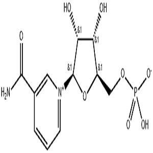Β-烟酰胺单核苷酸,Nicotinamide ribonucleotide