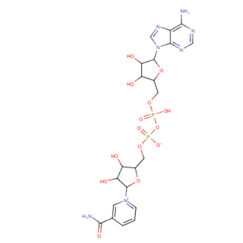 烟酰胺腺嘌呤双核苷酸,β-Nicotinamide adenine dinucleotide